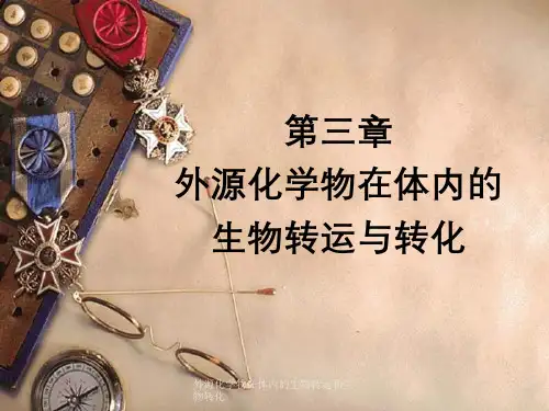 外源化学物在体内的生物转运和生物转化