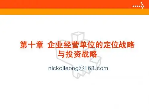 第十章 企业经营单位的定位战略与投资战略