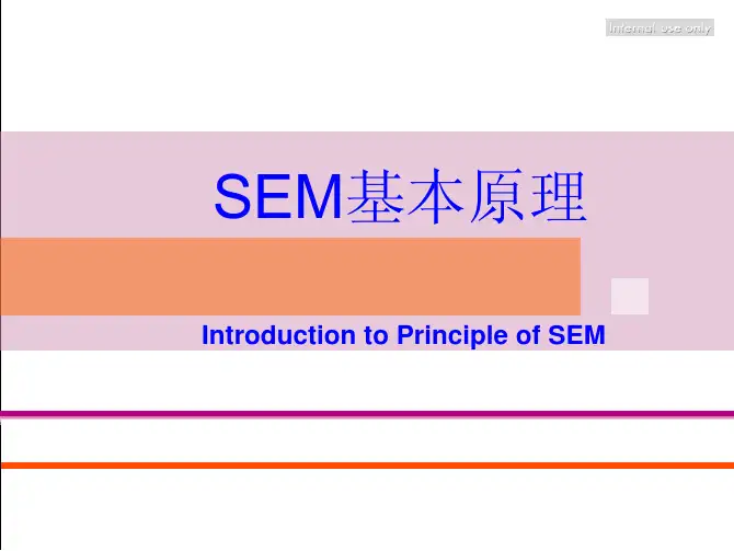 SEM基本原理