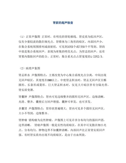 肾脏的超声检查