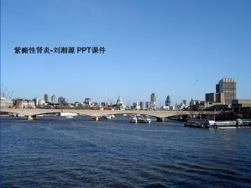 紫癜性肾炎-刘湘源 PPT课件