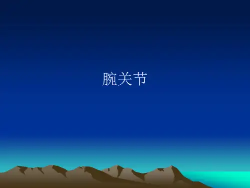 腕关节PPT课件