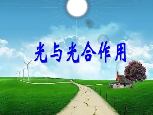 5.4.1 捕获光能的色素和结构课件