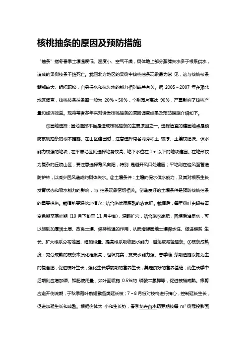 核桃抽条的原因及预防措施