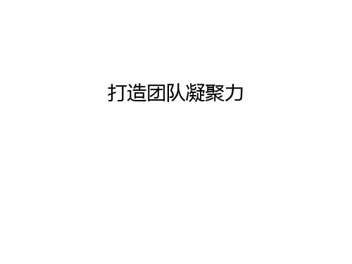 打造团队凝聚力讲课稿