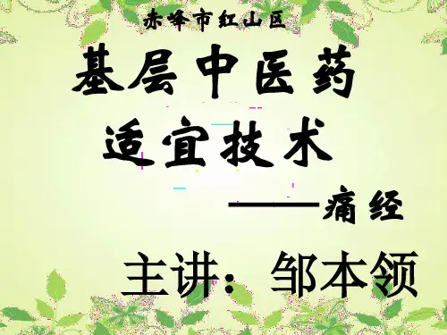 基层中医药适宜技术培训--痛经