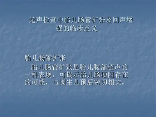 超声检查中胎儿肠管扩张与回声增强的临床意义