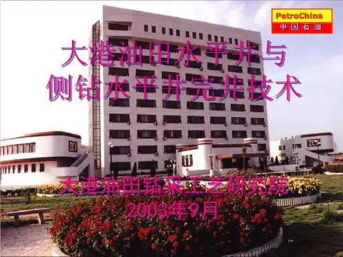 大港油田水平井及侧钻水平井完井技术(精选)