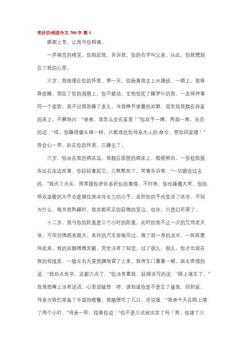 美好的遇见作文700字初一