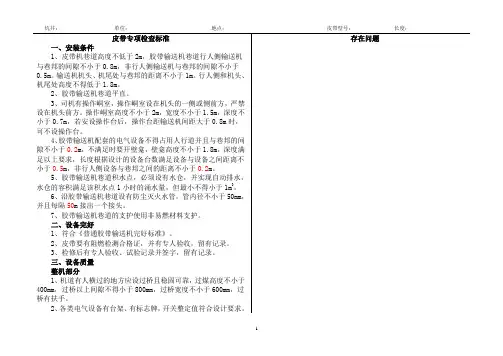 皮带专项检查标准