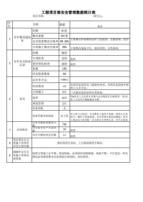 项目级安全管理数据统计表