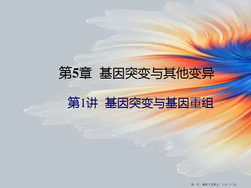 高中生物 基因突变与基因重组(一轮复习)课件 新人教版