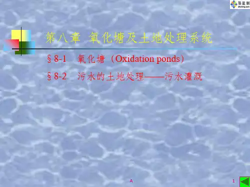 氧化塘及土地处理处理系统