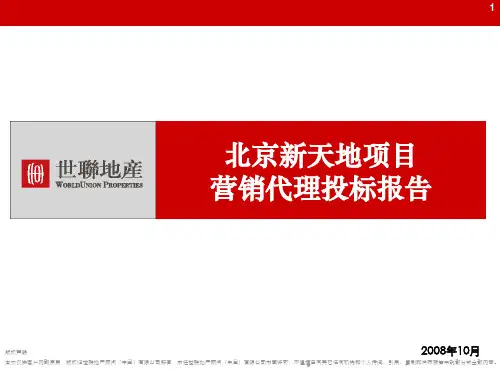 北京新天地项目营销代理投标报告(61页)