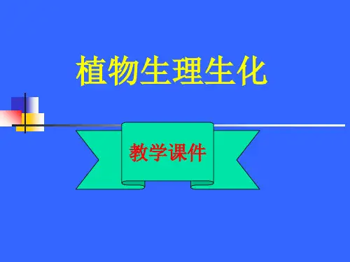 第一章：绪论 ppt课件