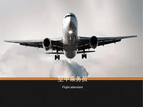 国内四大航空公司