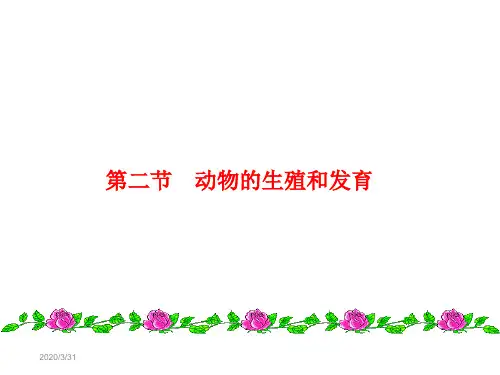 动物的生殖和发育