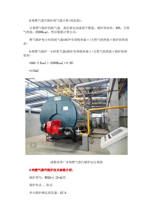 6吨燃气蒸汽锅炉耗气量