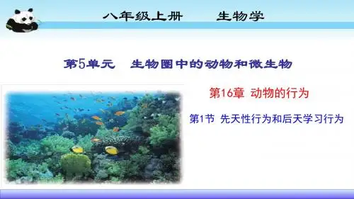 16.1 先天性行为和后天学习行为