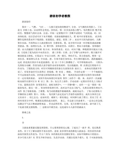 游泳初学者教程