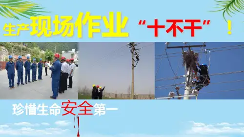 【精】电力系统“十不干”