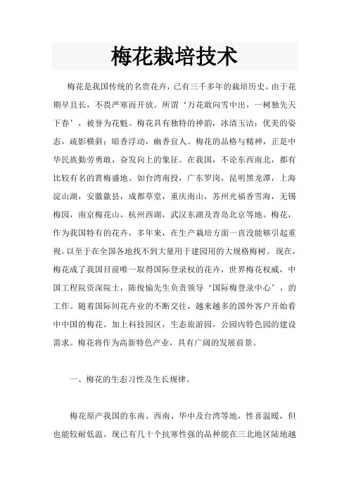 梅花栽培技术