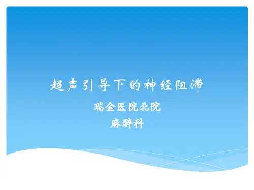 超声引导下的神经阻滞