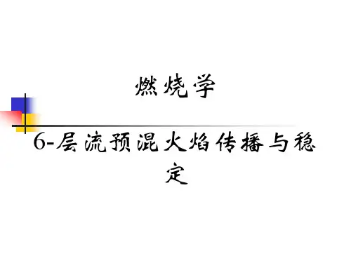 6-层流预混火焰传播与稳定