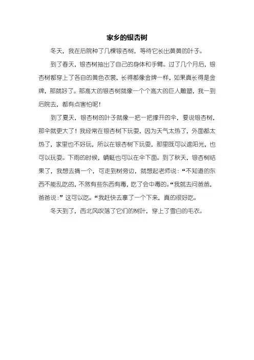 三年级作文：家乡的银杏树作文350字