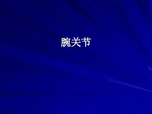 腕关节运动解剖
