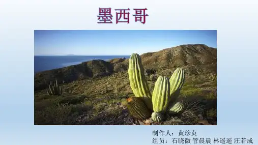 拉丁美洲简介