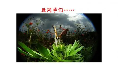 人教版生物七年级上册第一课