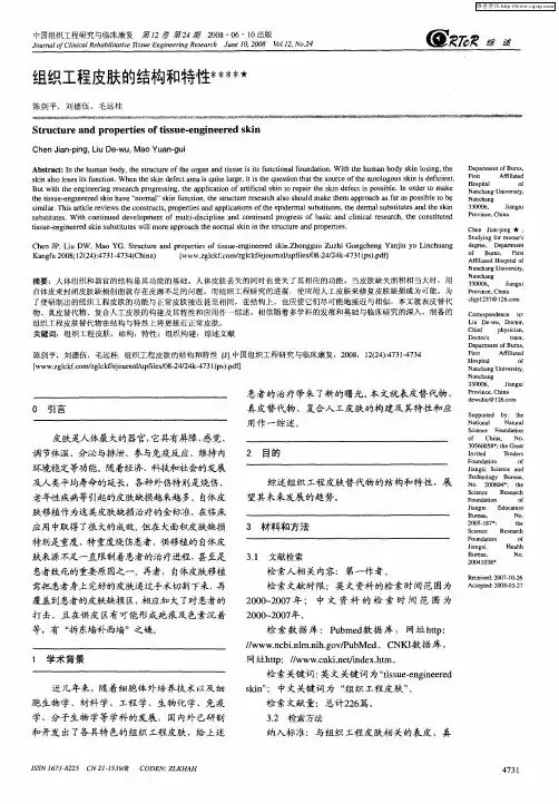 组织工程皮肤的结构和特性