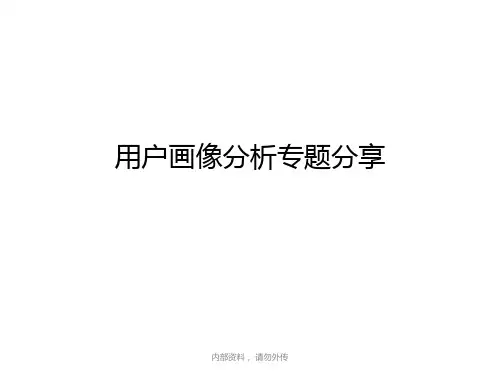 《用户画像分析》