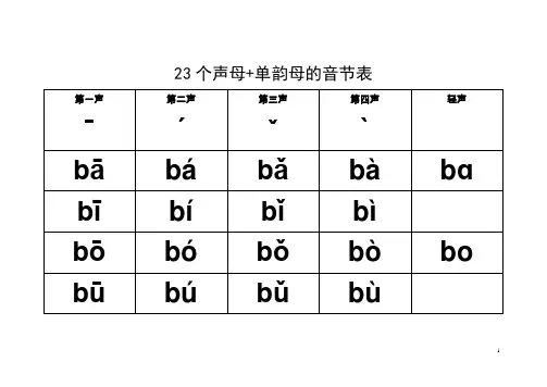 23个声母+单韵母的音节表带声调(听写打印版)