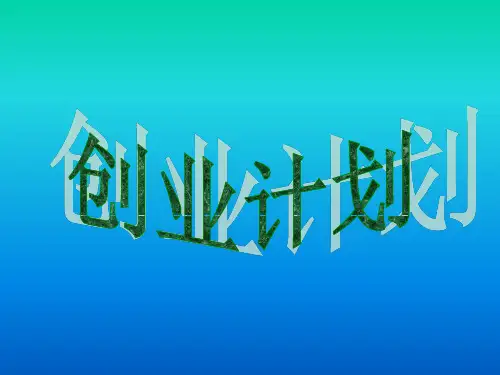 个性T恤市场营销创业策划方案.pptx