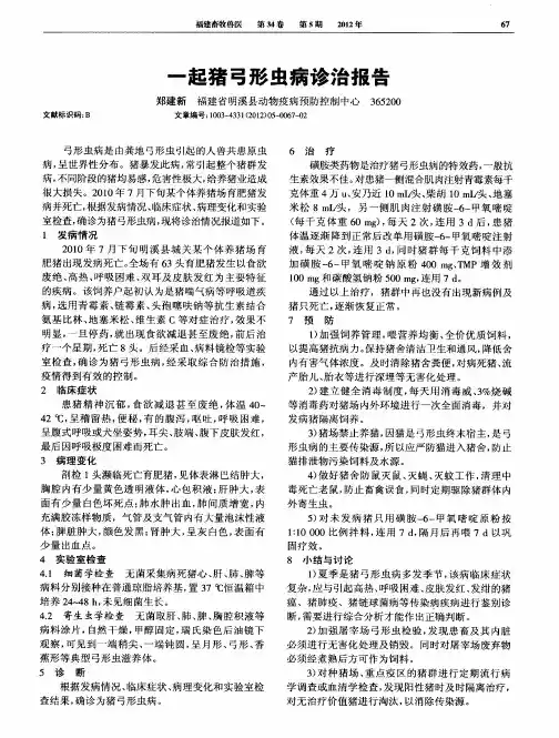 一起猪弓形虫病诊治报告