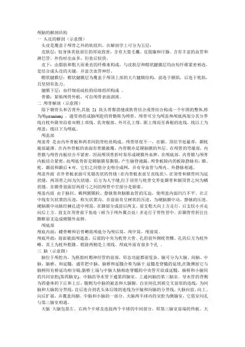 颅脑的解剖