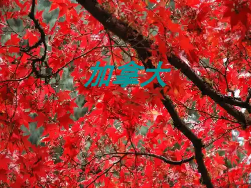 加拿大简介