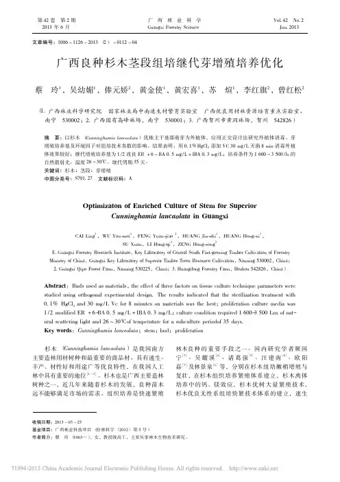 广西良种杉木茎段组培继代芽增殖培养优化_蔡玲