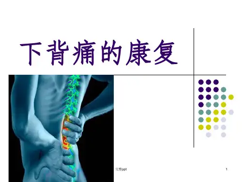 下背痛的康复