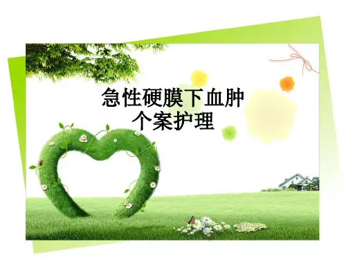 急性硬膜下血肿个案护理ppt课件