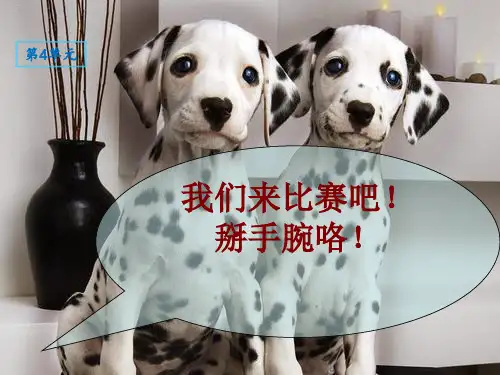 四年级下册语文阅读课件-第四讲理解句子的意思2-部编版