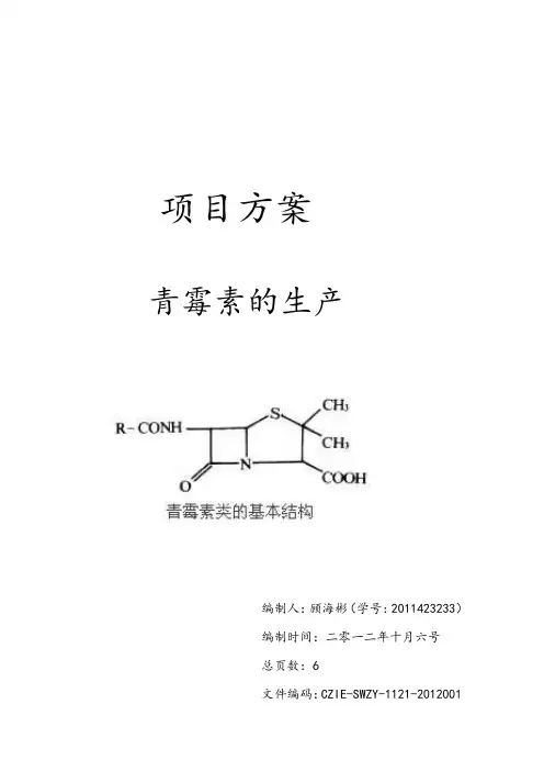 项目方案
