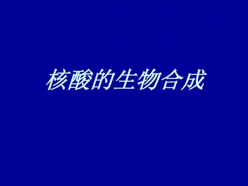 核酸的生物合成