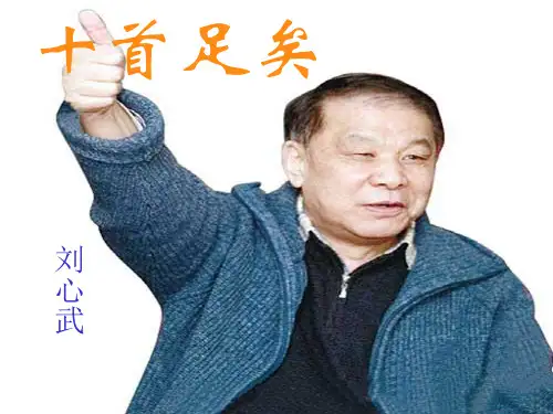《十首足矣》19张课件1