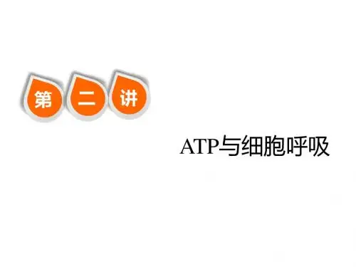 高三生物一轮复习必修1第3单元第2讲  ATP与细胞呼吸