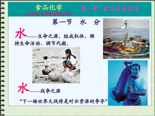 第一章  食品成分化学1
