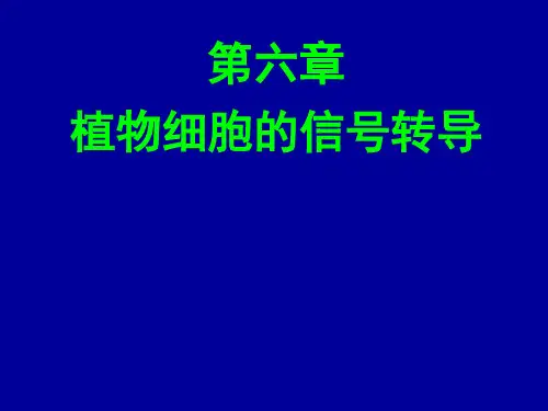 第6章  细胞信号转导