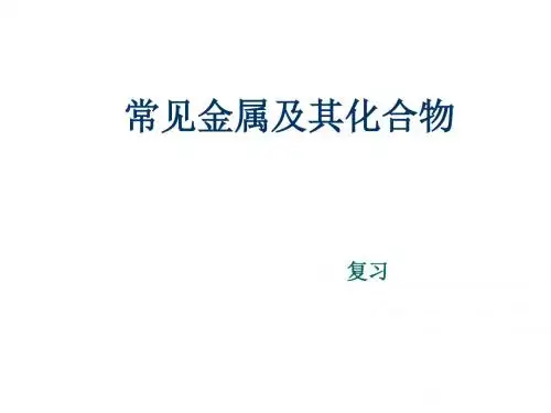 高一化学金属复习(201908)